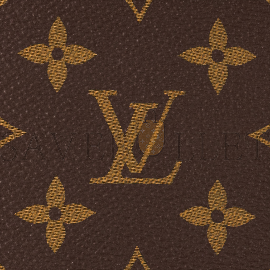 LOUIS VUITTON MASTER VIVACITÉ M46999 (25*15*8cm)